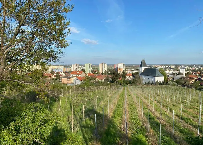 Hotel all'aeroporto: Hotel Baronka